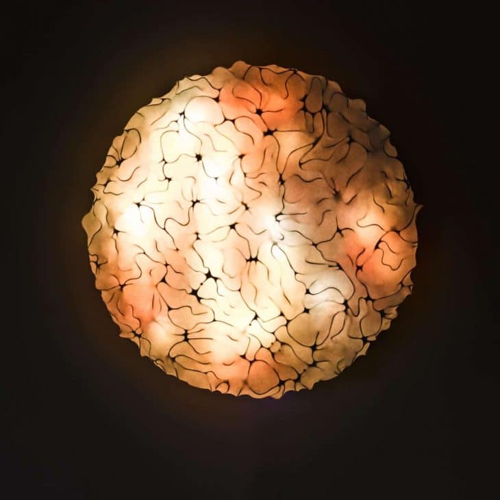 Aqua Creations - Lucky Lamp Responsive LED Wall Light